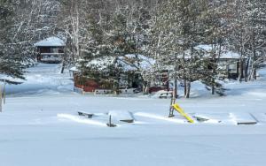 un cortile coperto da neve con alberi e una casa di Lakefront Studio Cottage #8 a Dillon Altre 7 foto