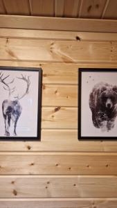 two pictures of a bear and a deer on a wall at Webers Tiny House in Rentjärn +14 photos