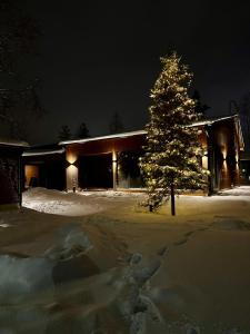 Το Villa Memory-Aurora view bath-Sauna-Lapland-Santa τον χειμώνα