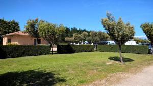 a small tree in the middle of a lawn at Camping des Favards in Violès