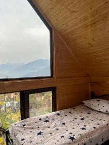 Φωτογραφία από το άλμπουμ του კოტეჯი მათე σε Khulo