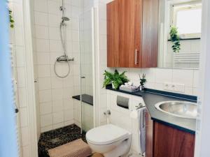 a bathroom with a toilet and a sink and a shower at Penthaus Horizont mit Meerblick in Lübeck