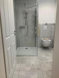 a bathroom with a shower and a toilet at Ferienwohnung Wethmüller in der Altstadt in Rinteln