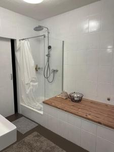 Koupelna v ubytování Maison de Chasse Karlsbrunn