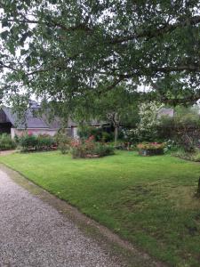 Κήπος έξω από το Studio 61