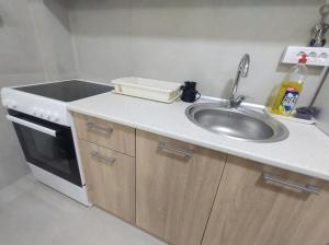 Køkken eller tekøkken på Apartman Kitanović 1 Vrnjačka Banja