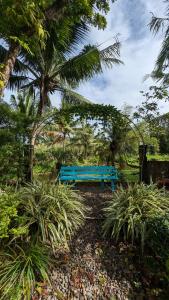 a blue bench sitting in the middle of a park at Casa Munti Garden Lodge in Daet