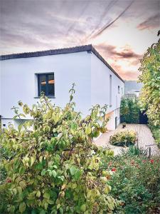 Zahrada ubytování Komfortables Atriumhaus bei Zürich, Garten, Ruhe, Parking und Waschmaschine