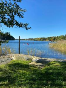 Cottage By The Sea On Djurö في Djurhamn: اطلالة على بحيرة مع قوارب في الماء