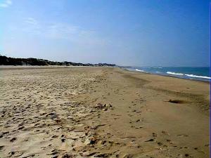 a beach with footprints in the sand and the ocean at Confortable appartement 4 personnes avec balcon, parking à Stella Plage - FR-1-236-173 in Stella-Plage