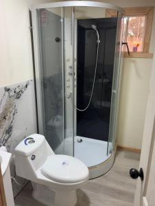 a bathroom with a shower and a white toilet at Cabaña Quellón 