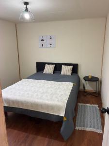 a bedroom with a large bed in a room at Cabaña Quellón 