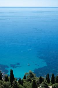een grote hoeveelheid water met een boot erin bij Le COQ Grimaldi - AC - WiFi in Roquebrune-Cap-Martin