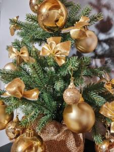 Fotografie z fotogalerie ubytování Somló Nordic v destinaci Somlószőlős