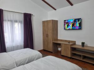 Μια τηλεόραση ή/και κέντρο ψυχαγωγίας στο Pensiunea ALDA