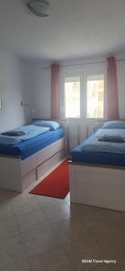 a bedroom with two beds and a red rug at Apartement Irena Vir in Vir