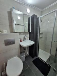 a bathroom with a toilet and a sink and a shower at Apartement Irena Vir in Vir