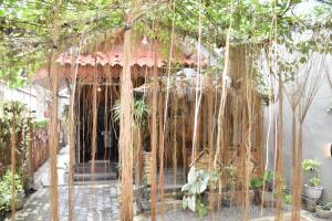 Сад в Diamond Villa Weligama Bay