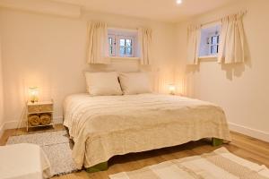 a bedroom with a large bed with two windows at Appartement B Rosita in Twisk