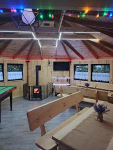 Τραπέζι μπιλιάρδου στο Malinowy Gaj - Agroturystyka z alpakami i innymi zwierzętami