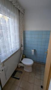 a bathroom with a toilet and a window and a tub at Ferienwohnung Bergstraße Hammermühle in Bad Düben