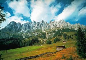 Příroda nedaleko apartmánu