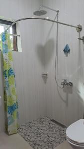 a bathroom with a shower and a toilet at Casa Munti Garden Lodge in Daet +27 photos