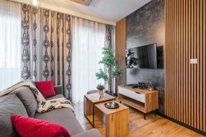 a living room with a couch and a tv at Apartamenty SKI Apartments, Odkryj-Bialke in Białka Tatrzańska