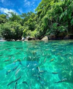 Φυσικό τοπίο κοντά σε αυτό το πλωτό κατάλυμα