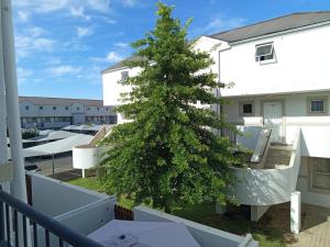 Φωτογραφία από το άλμπουμ του Nestled in the beautiful Winelands σε Ουέλλινγκτον