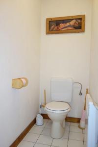a bathroom with a toilet and a picture on the wall at Appartement Les Balcons du Savoy in Chamonix-Mont-Blanc +10 photos