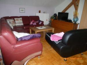 a living room with a red leather couch and a table at Seidl's Ilztalfewo in Witzmannsberg