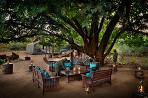 Zahrada ubytování Nkula Camp - Pafuri Walking Safari's