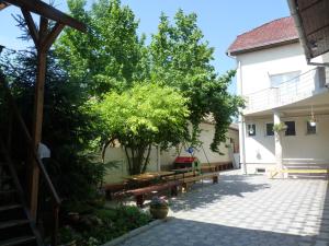 Κήπος έξω από το Teka Guesthouse