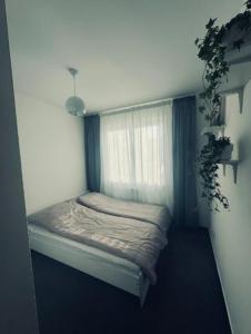 Postel nebo postele na pokoji v ubytování MD Neptun