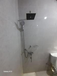 a white bathroom with a toilet and a shower at Nile Flower Guesthouse in Luxor +14 photos