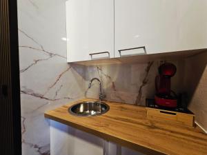 Maison Mimosa avec garage privé في دينانت: مطبخ مع حوض في كونتر خشبي