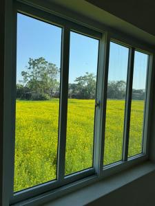 Φωτογραφία από το άλμπουμ του River Tiger Safari & Homestay σε Meghauli +17 φωτογραφίες