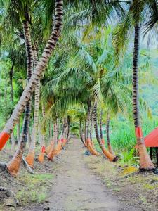Gallery image of Ambika Hills Resort in Junnar