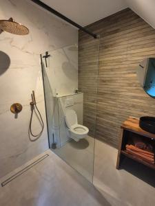 Un baño con inodoro y ducha de cristal. en B&B Lindehoeve Texel, en Den Hoorn