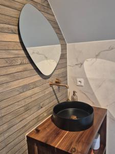 Un baño con un lavabo negro y un espejo. en B&B Lindehoeve Texel, en Den Hoorn