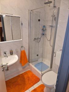 Ferienwohnung Nähe Flughafen mit Schwimmbad und Sauna في مورفلدن فالدورف: حمام مع دش ومرحاض ومغسلة