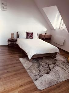 オルレアンにあるLa Grand Maisonのベッドルーム1室(大型ベッド1台、ラグ付)