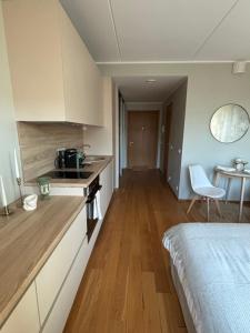 Kuchyň nebo kuchyňský kout v ubytování The Pakview Studio Apartment