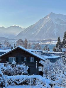 Příroda nedaleko vily