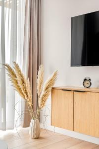 Et tv og/eller underholdning på Cortaderia Haven - SPA & Parking