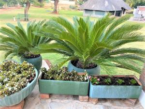 Fotografie z fotogalerie ubytování Villa Thabiso twin bed with pool access - 2087 v destinaci Bulawayo