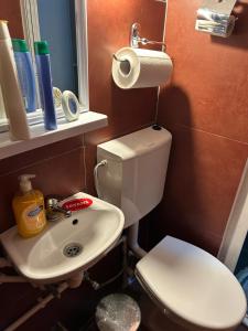 Ένα μπάνιο στο Apartmani Balkan +5 φωτογραφίες