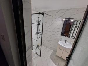 a bathroom with a shower and a sink at Căsuța Alpină in Ranca +12 photos