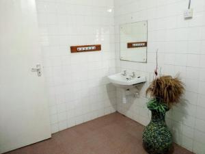 Allison Homes في كيليفي: حمام مع حوض ومزهرية بها عشب +65 صورة